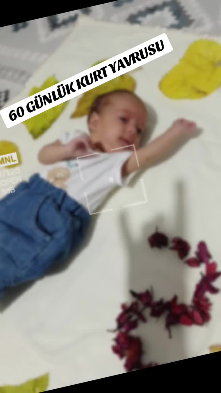 @Murat