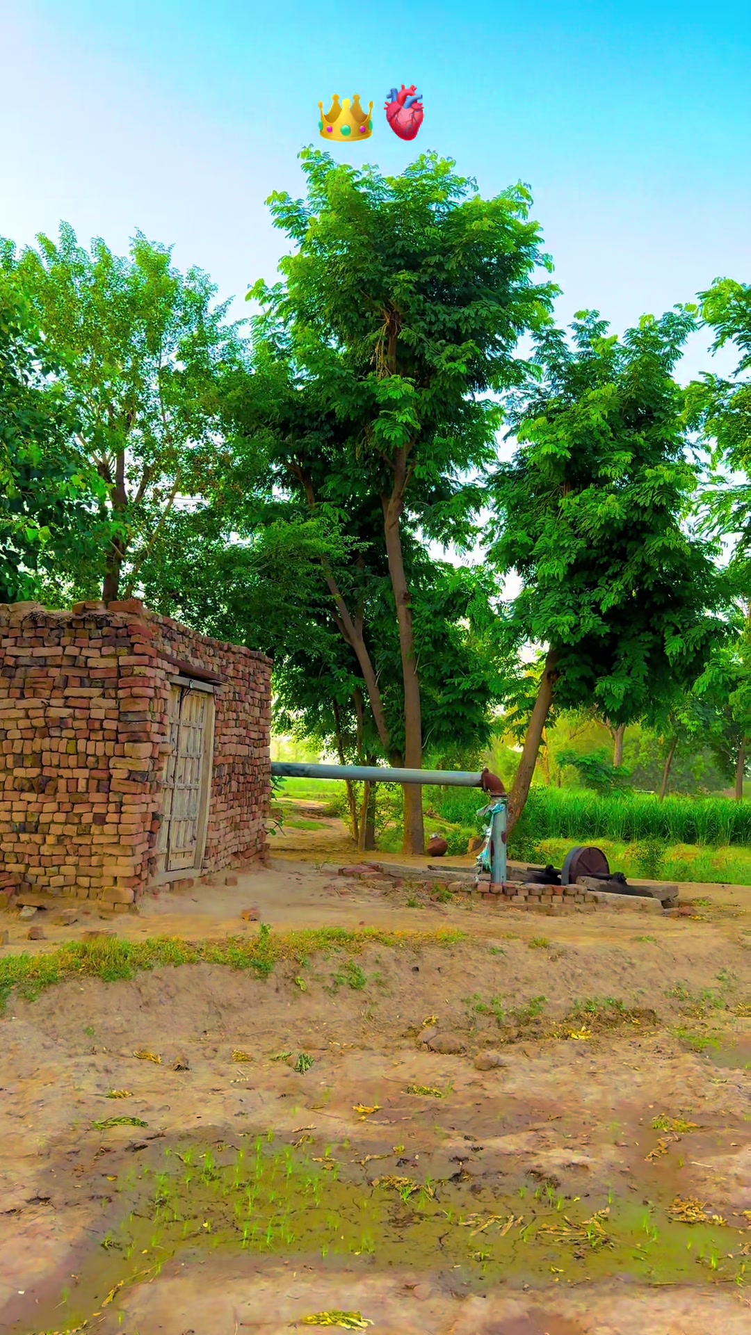 @پنجابی کلچر 🌾🍂