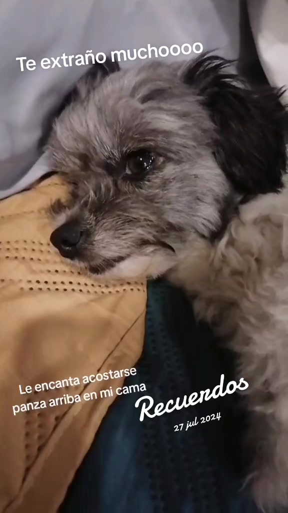 @Audrina Iriz
