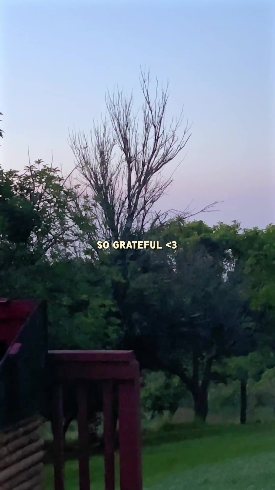 @Sarah 🌱 | Corporate to Farm