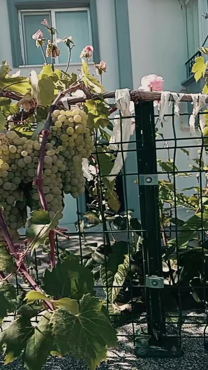 @Duran Karakaş