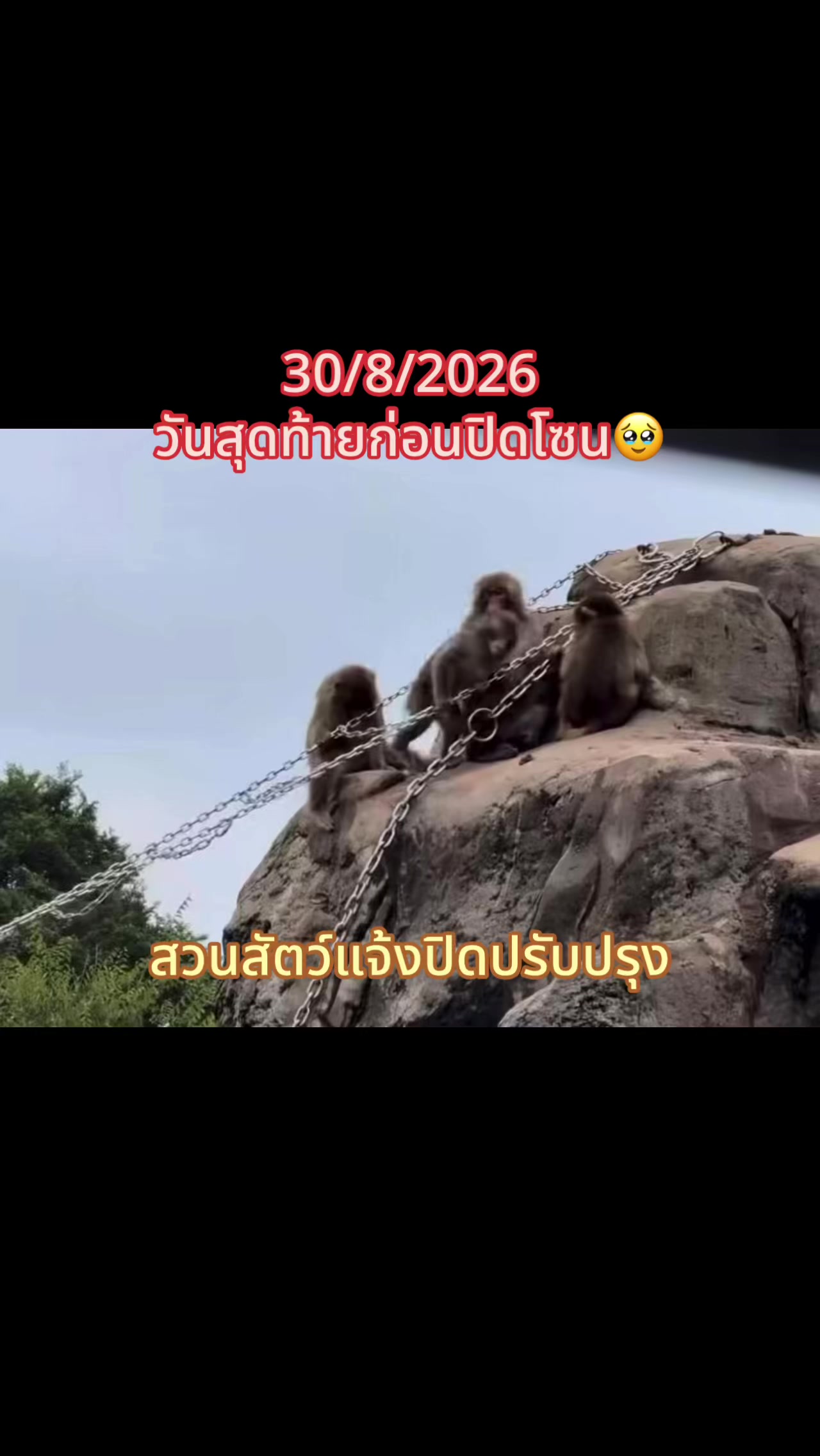 @mymint_teamwang