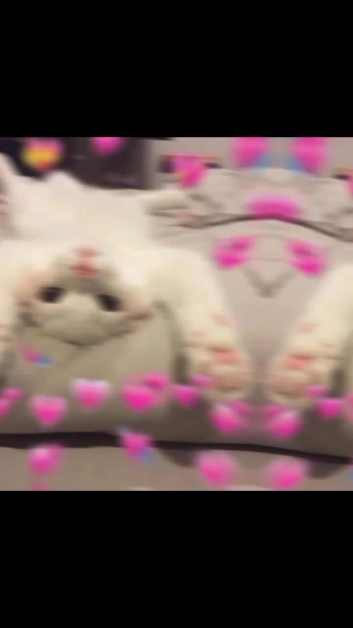 @ᯓ𝐄𝐫𝐚 𝐌𝐢𝐮ᥫ᭡
