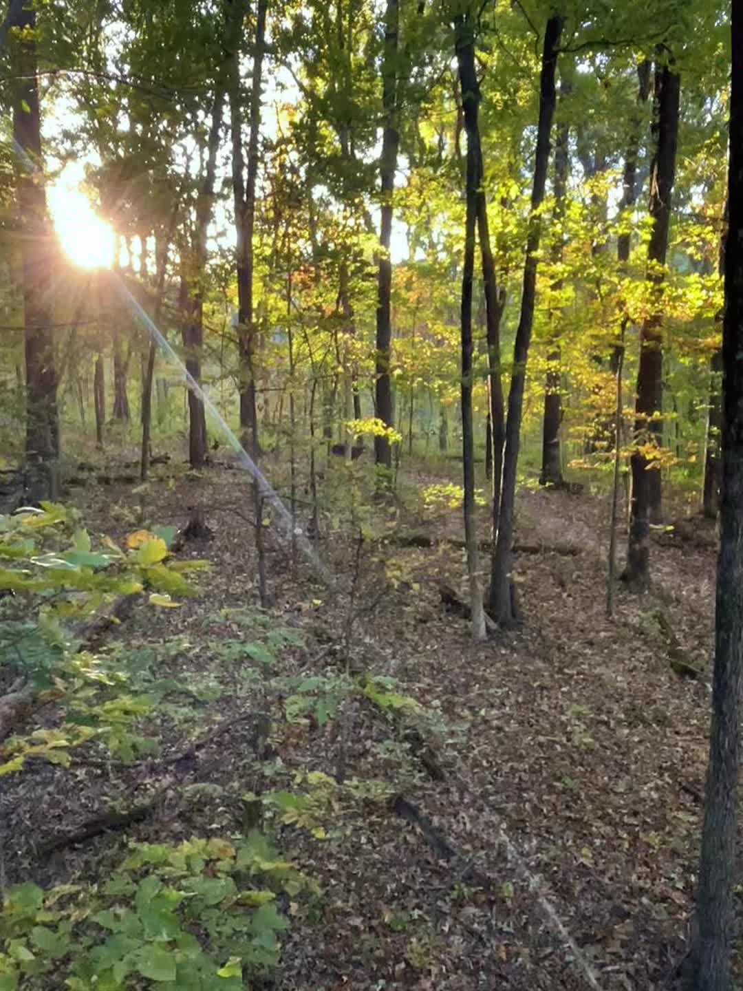 @217bowhunter