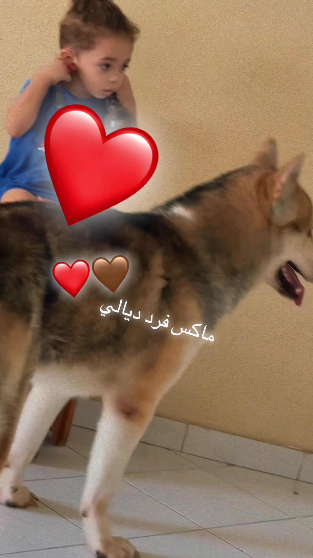 @👑سوسو👑