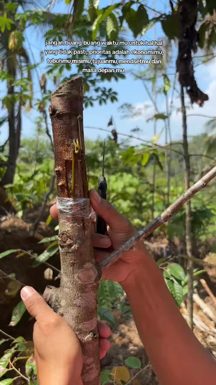 @𝑮𝑶𝑵 𝑫𝑼𝑹𝑰𝑨𝑵 𝑭𝑨𝑹𝑴