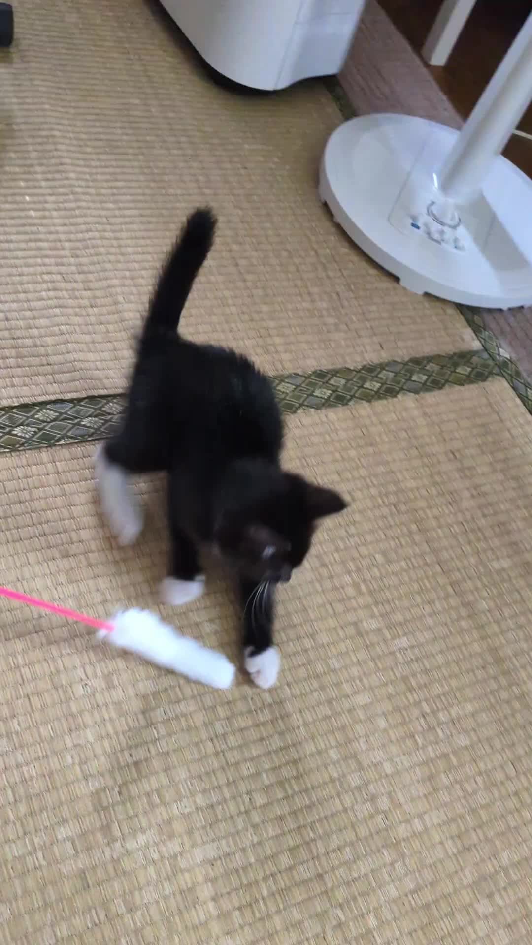 @dycqv9wnky3tふみえ