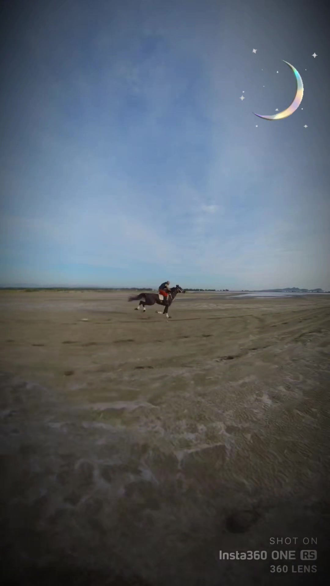 @Horse Training Center Albania