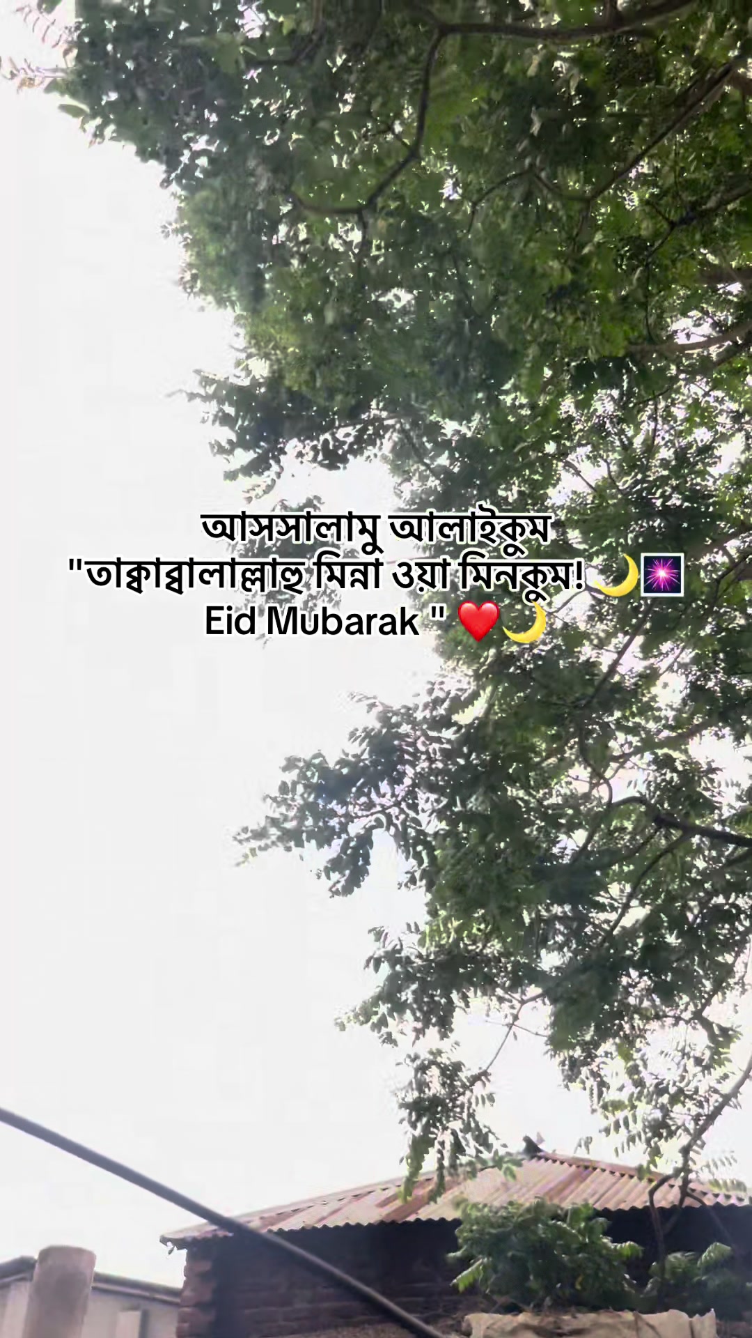 @diary_of_salma