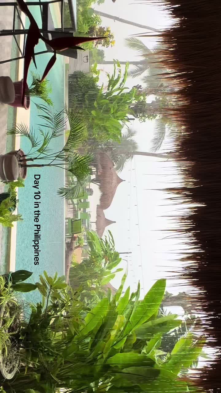 @Newmanstothenations