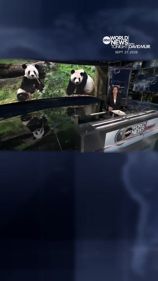 @ABC World News Tonight