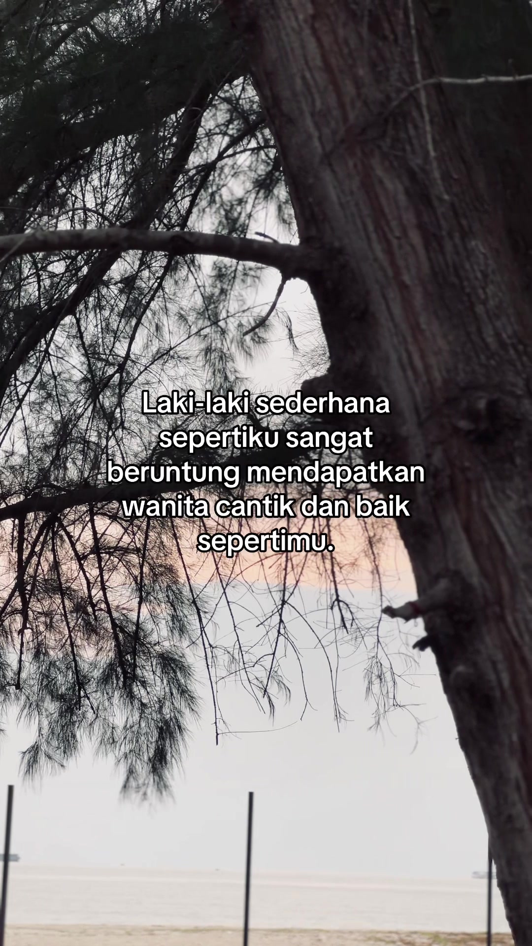 @Trinsomnia🦅