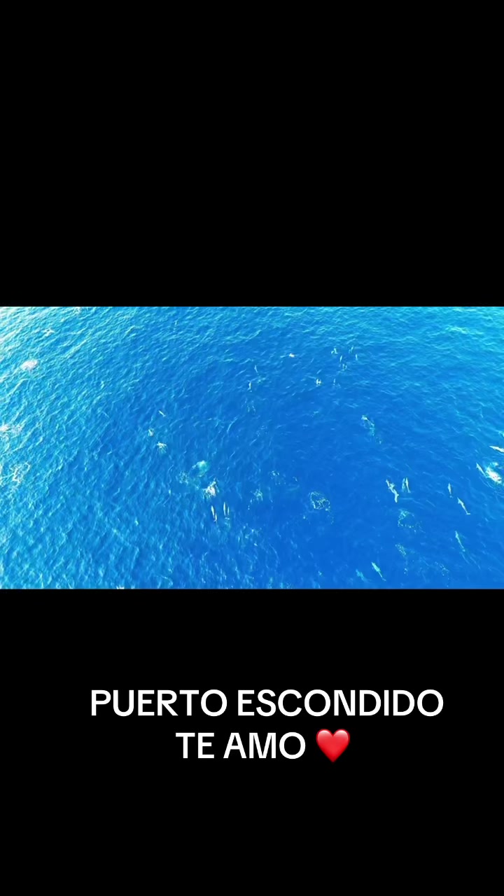 @Angel Mar 🐬🐳🎣