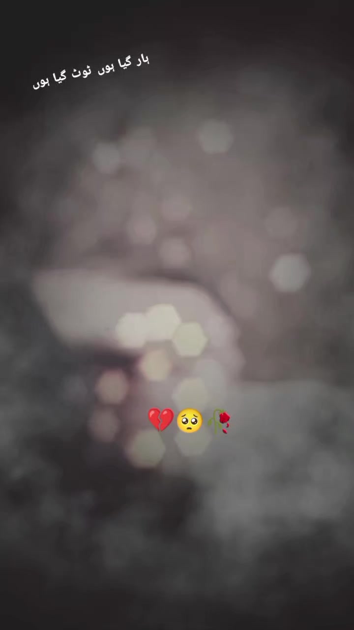 @🏴&zwj;☠️✿┋乙&alpha;ꪀіі⠀ᥫ᭡፝֟፝֟ 🏴&zwj;☠️