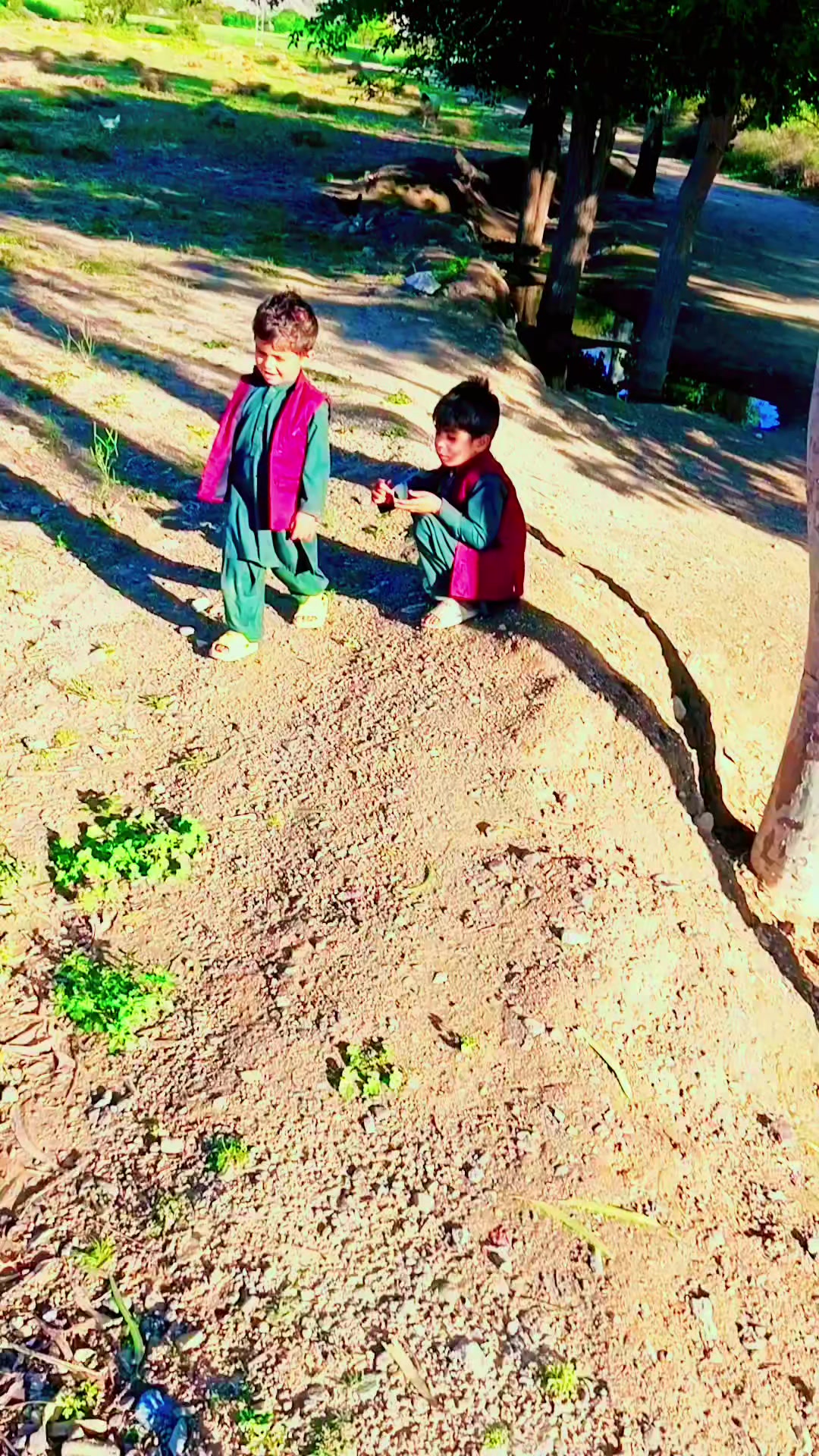 @Shapodin333🐆🦅