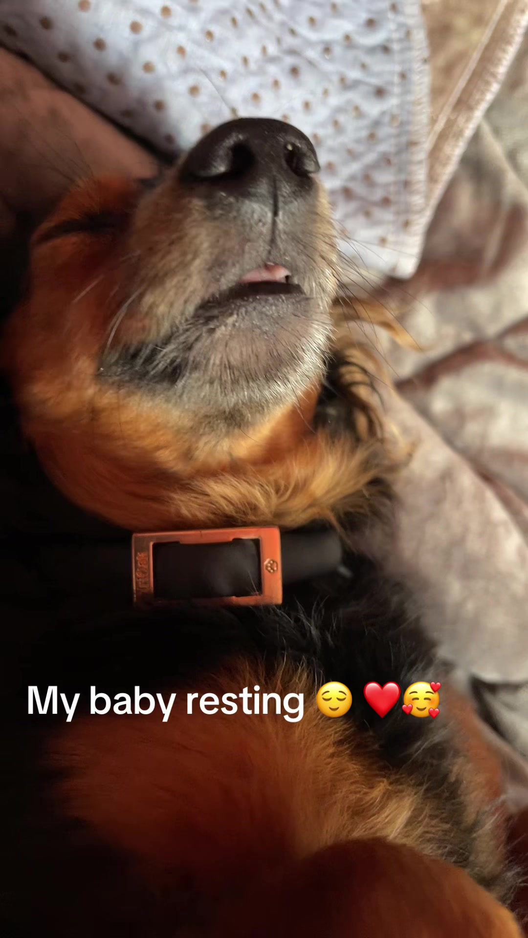 @marciawalters21