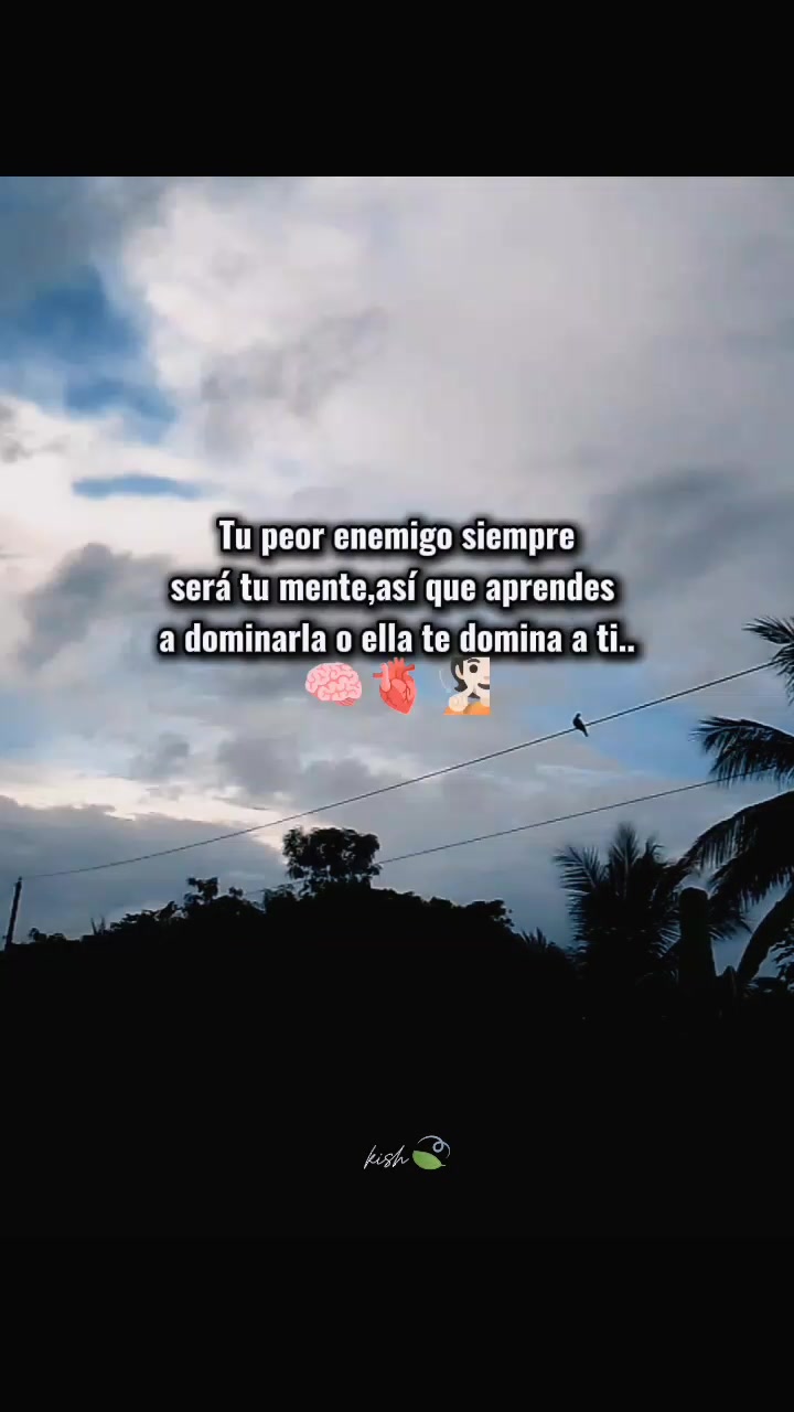 @✨k&icirc;sh c&acirc;b&acirc;l ✨