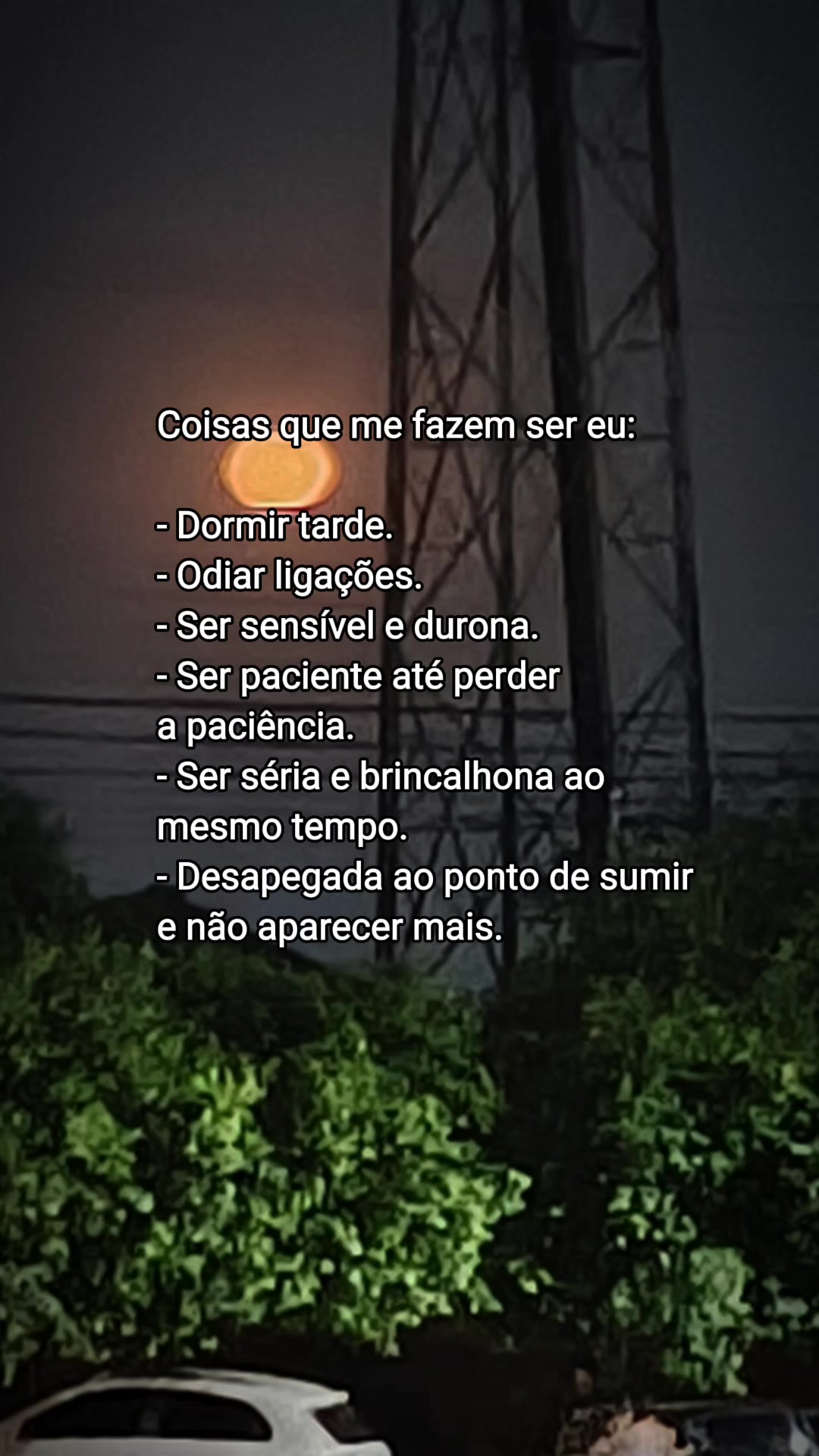@Elaine Oliveira