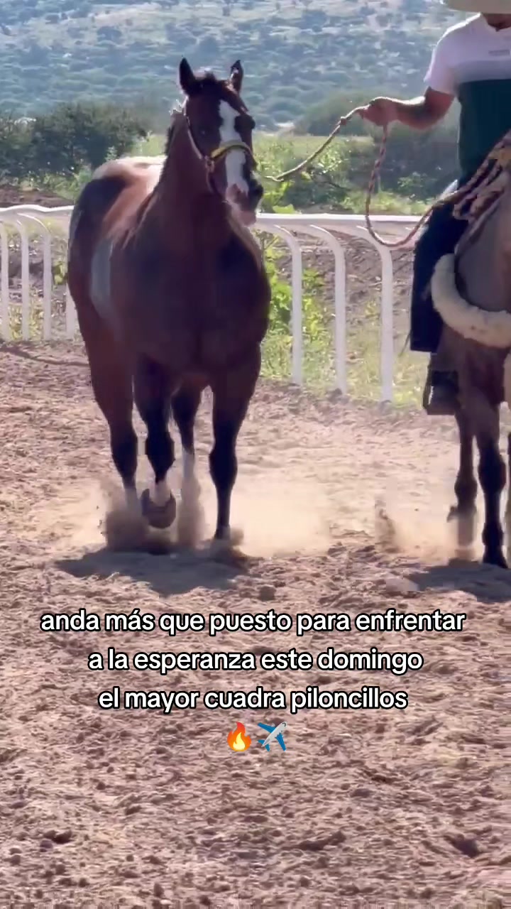 @carriles altos de jalisco🐎