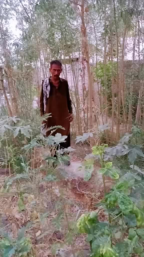 @shahid Rind