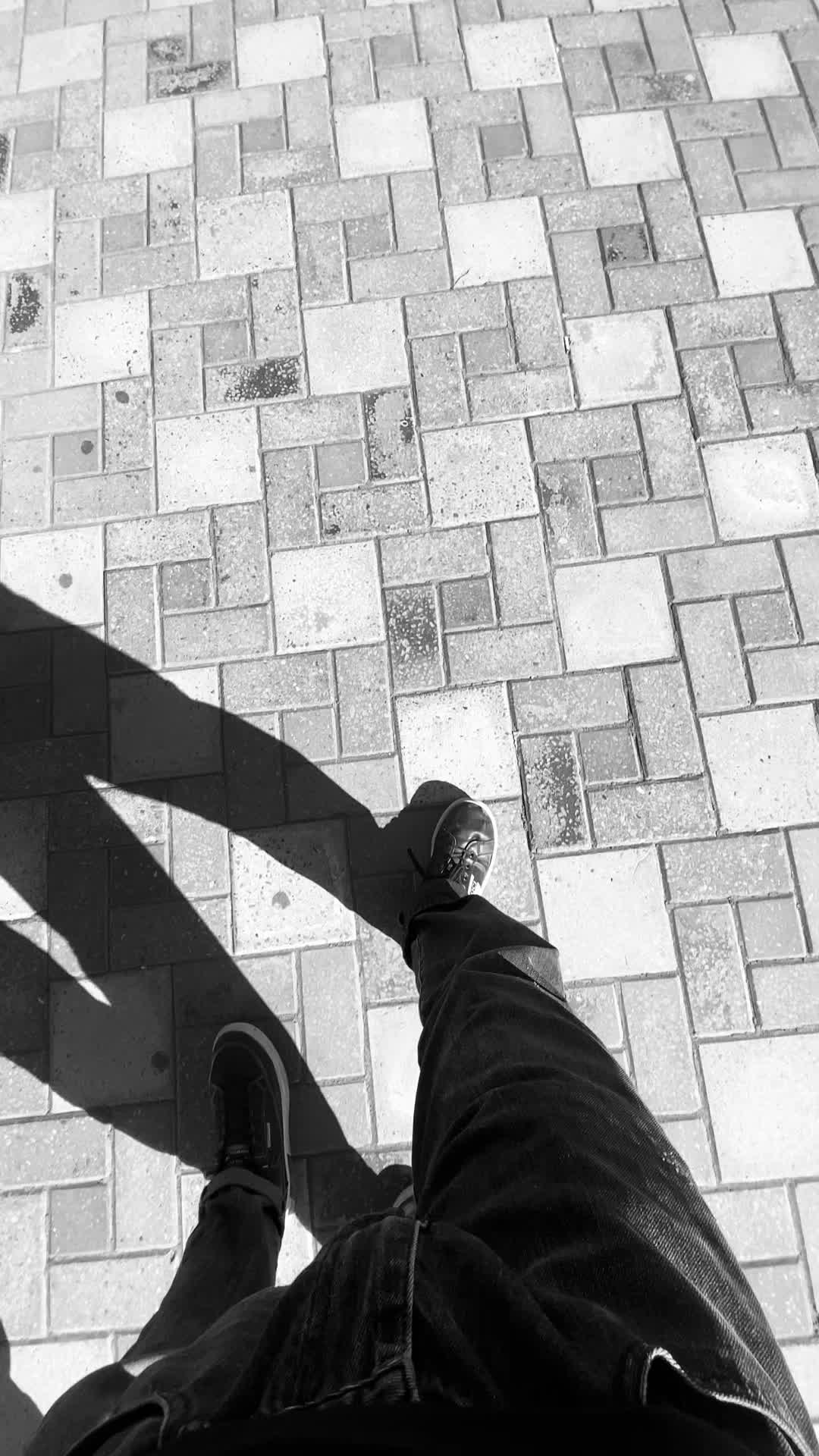 @ᴛᴀʟᴇx)