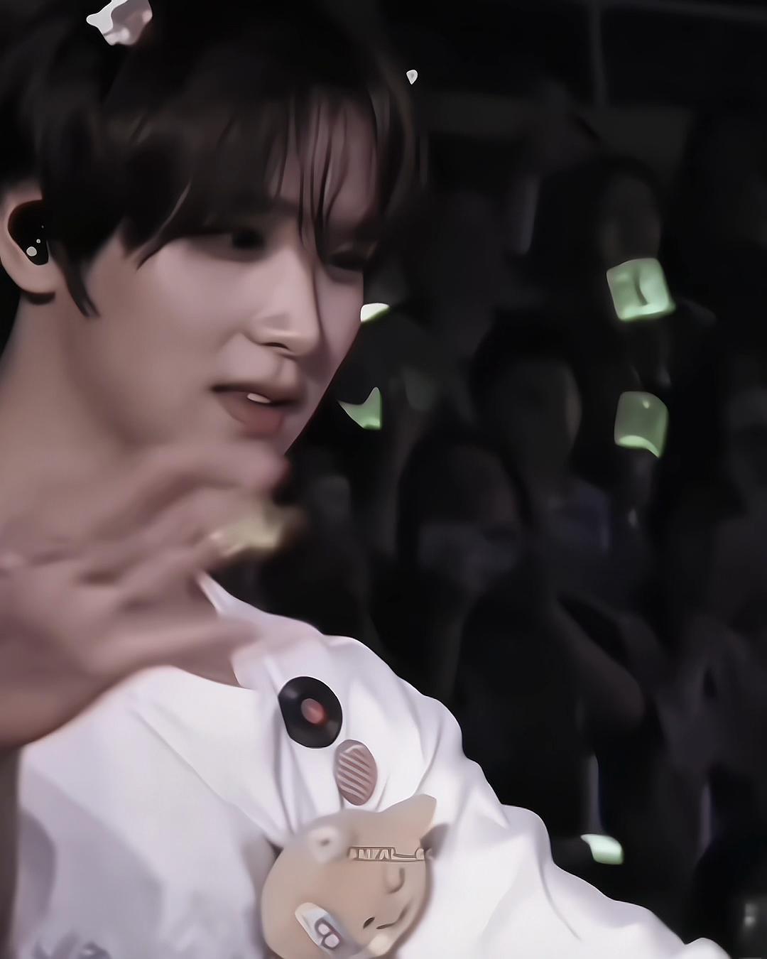 @sib