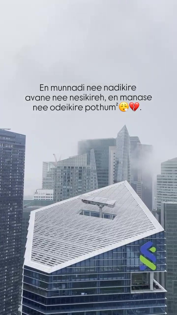 @ᥫ᭡.