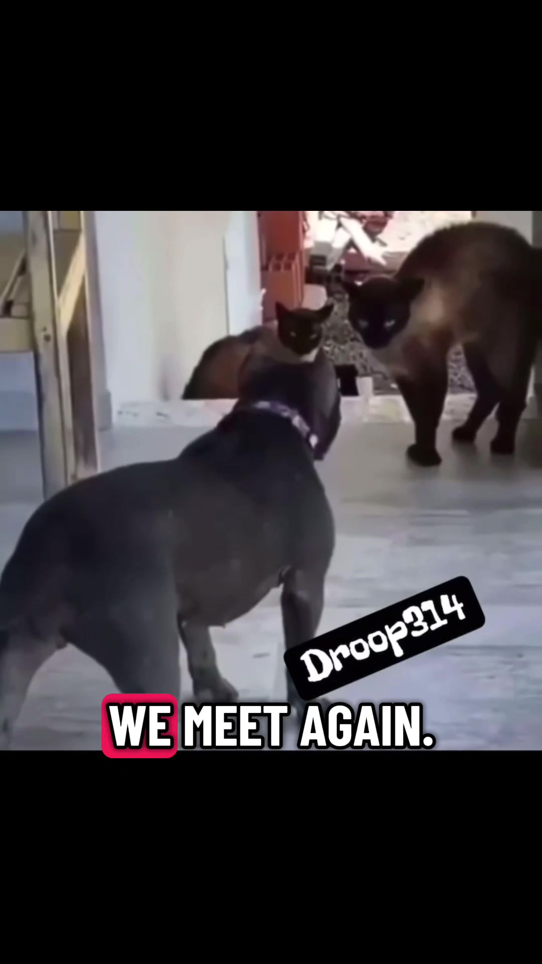 @Droop314