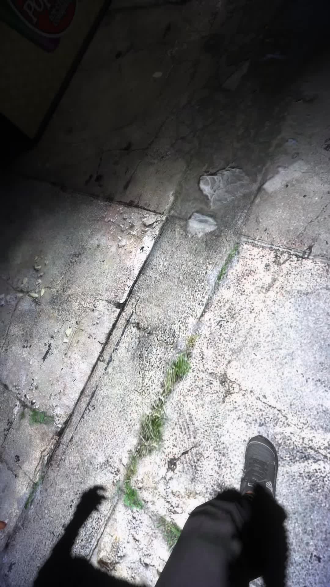 @🍀 𝐿𝒰𝒞𝒦𝒴