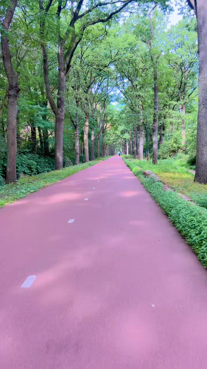 @Roshan shah🇳🇱🫶🏻