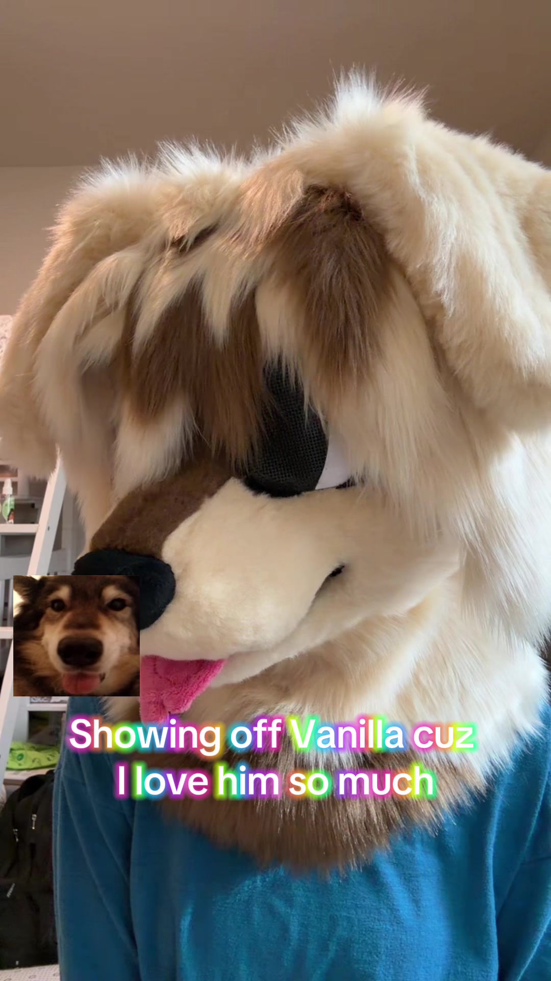 @dog