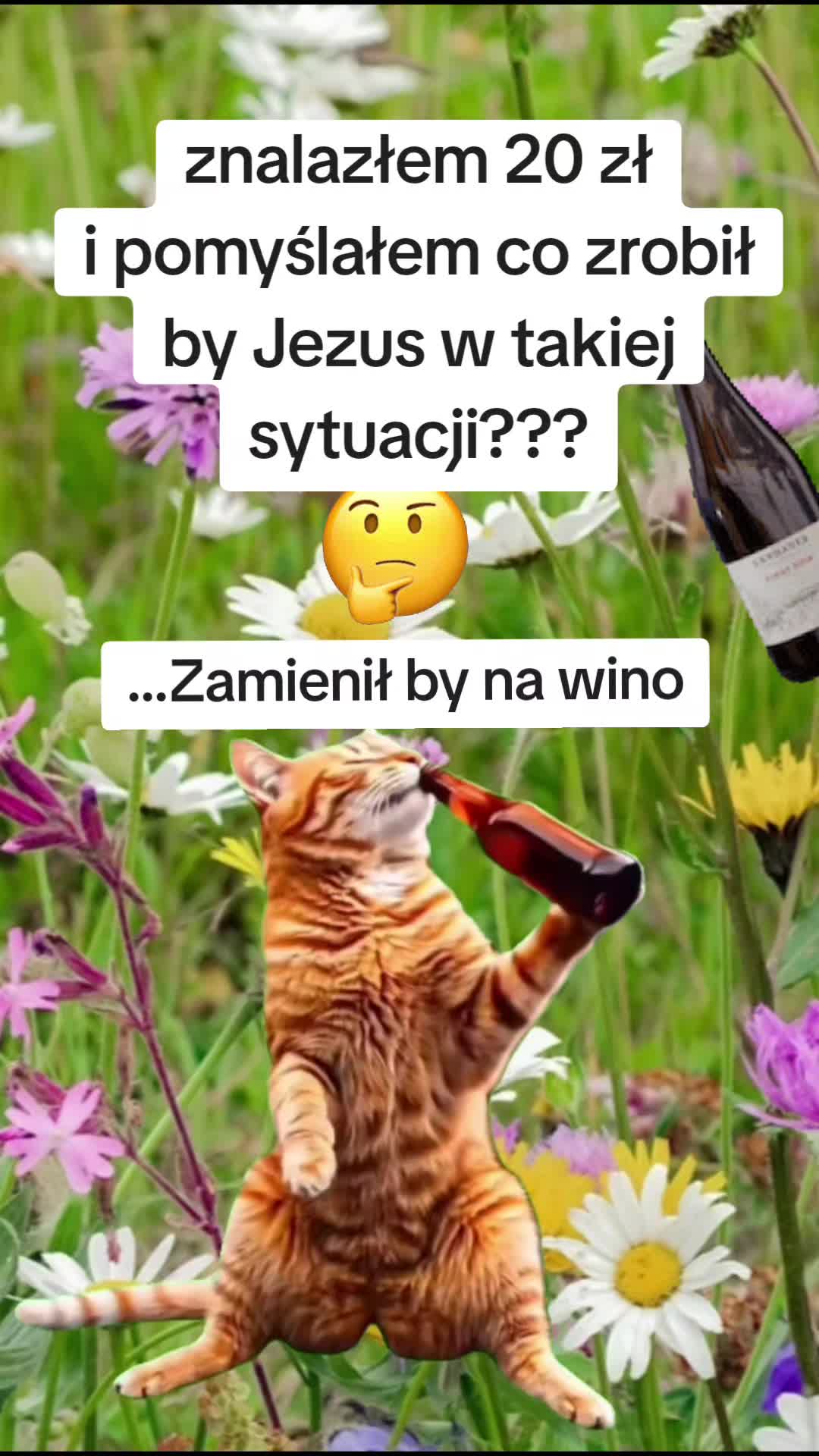 @🇵🇱🖐Aga Kamien🖐🇩🇪