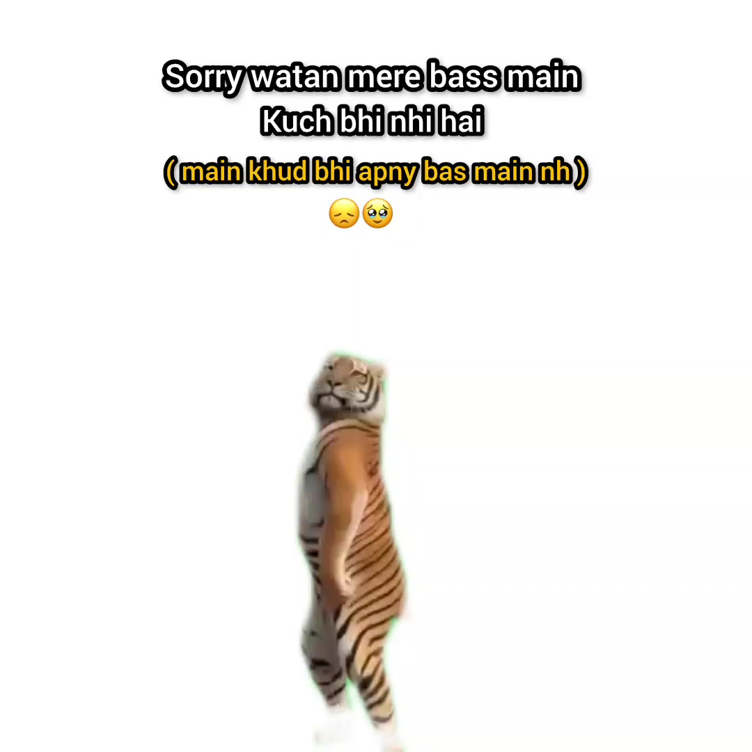 @๐ทโ๐ ๐ ๐ ๐ ๐ ๐งธ๐ช