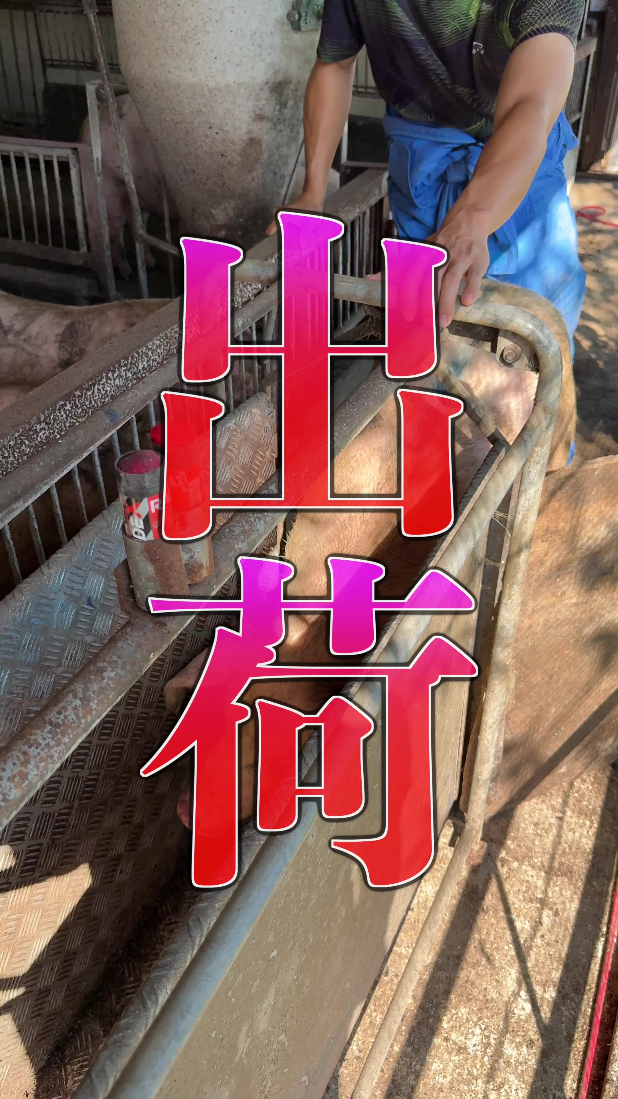 @小野友也ブタのお兄さん『命の恵』