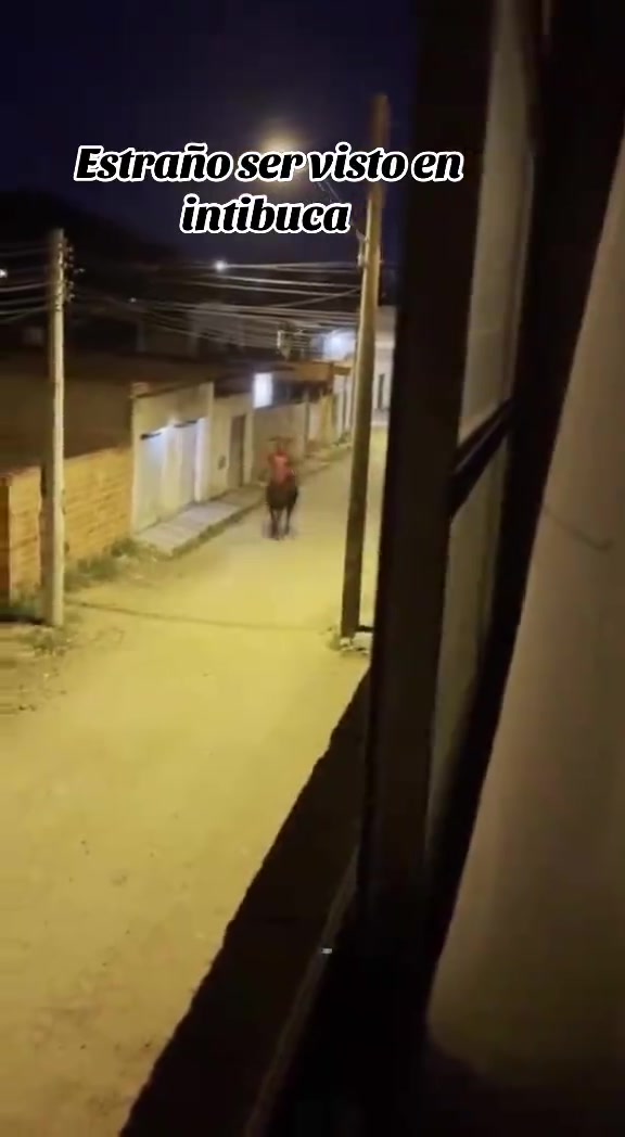 @Cuentos de Terror