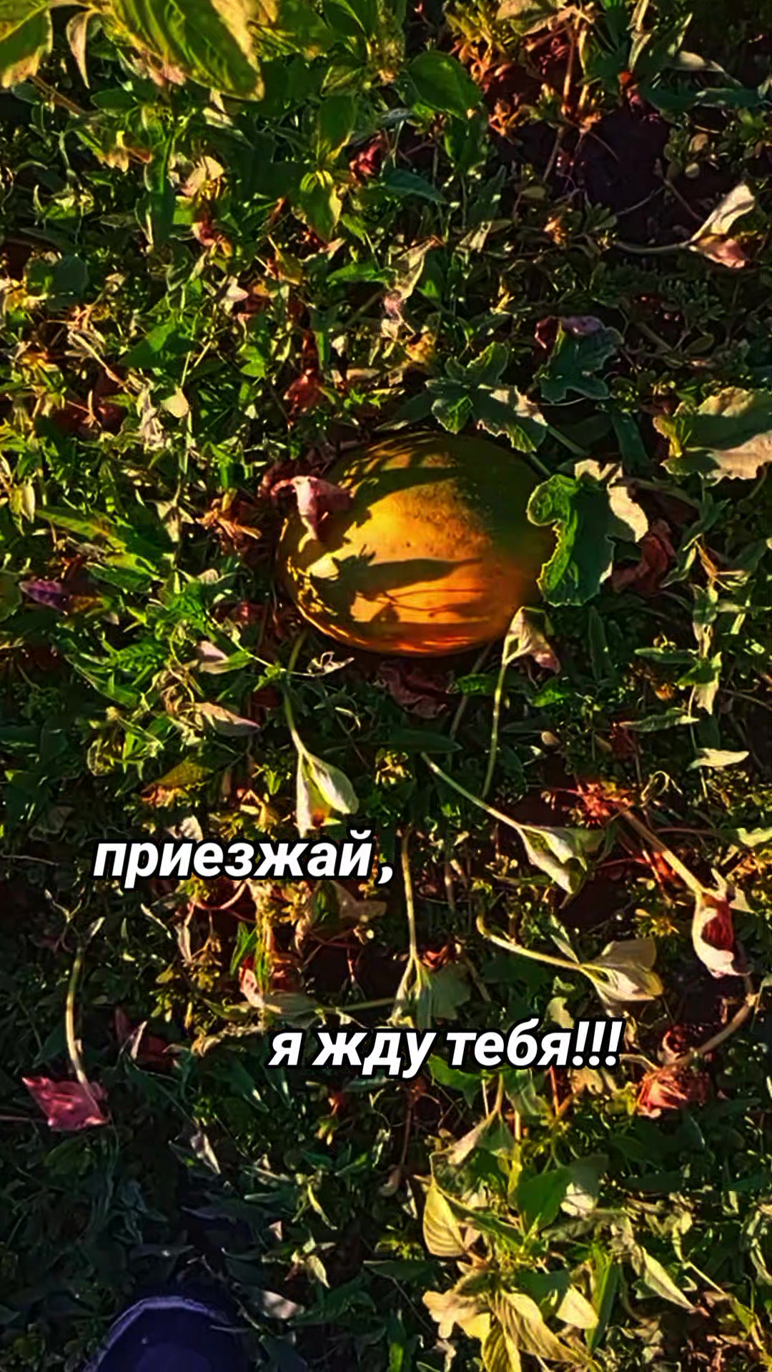 @Олежка!!!