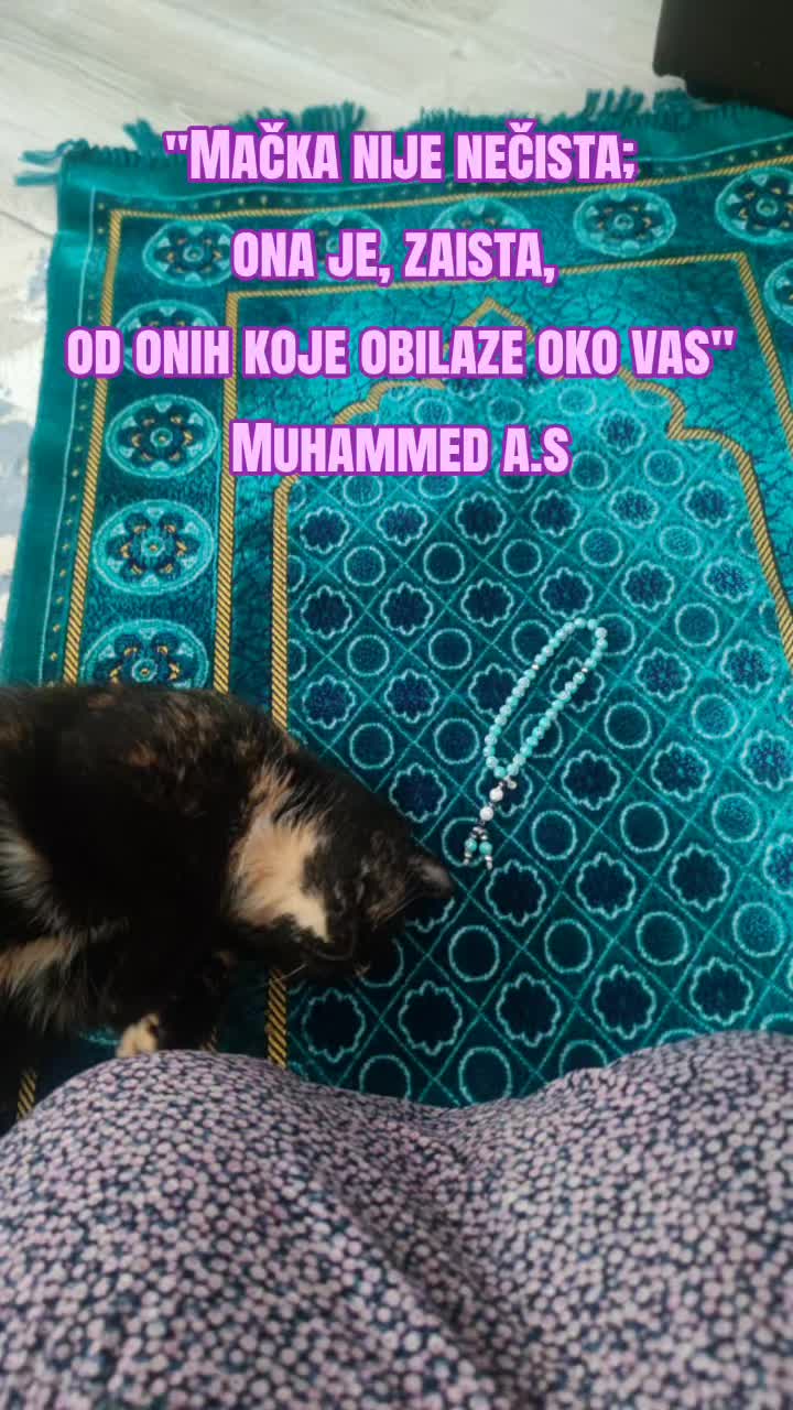 @Zümrüt 🌹🍀