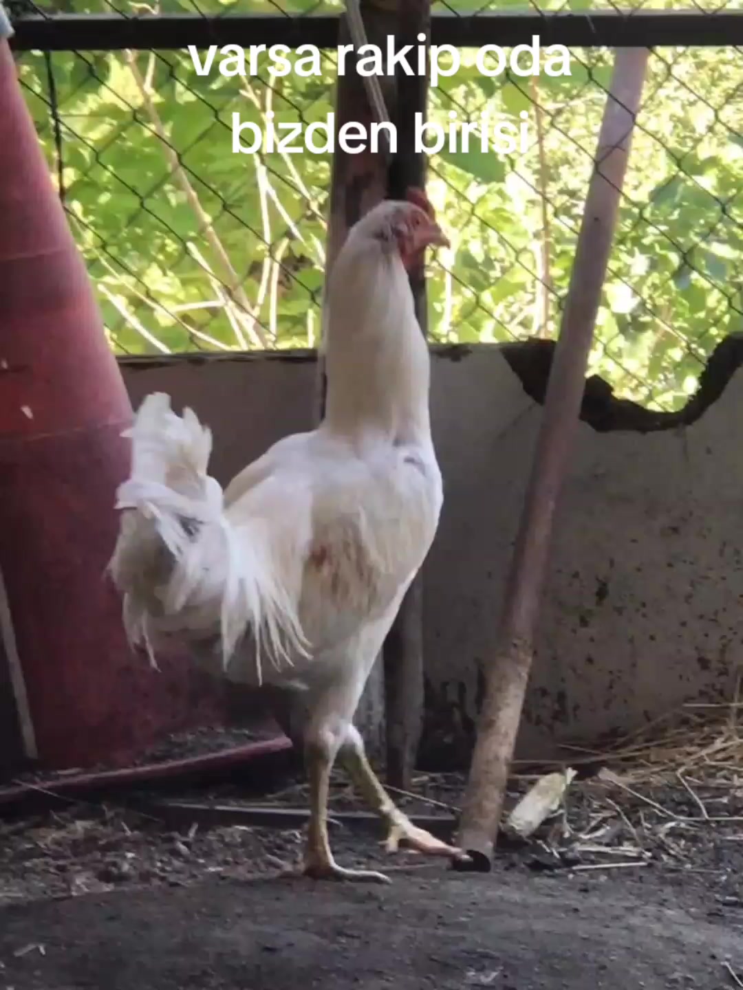 @Atakan 8154