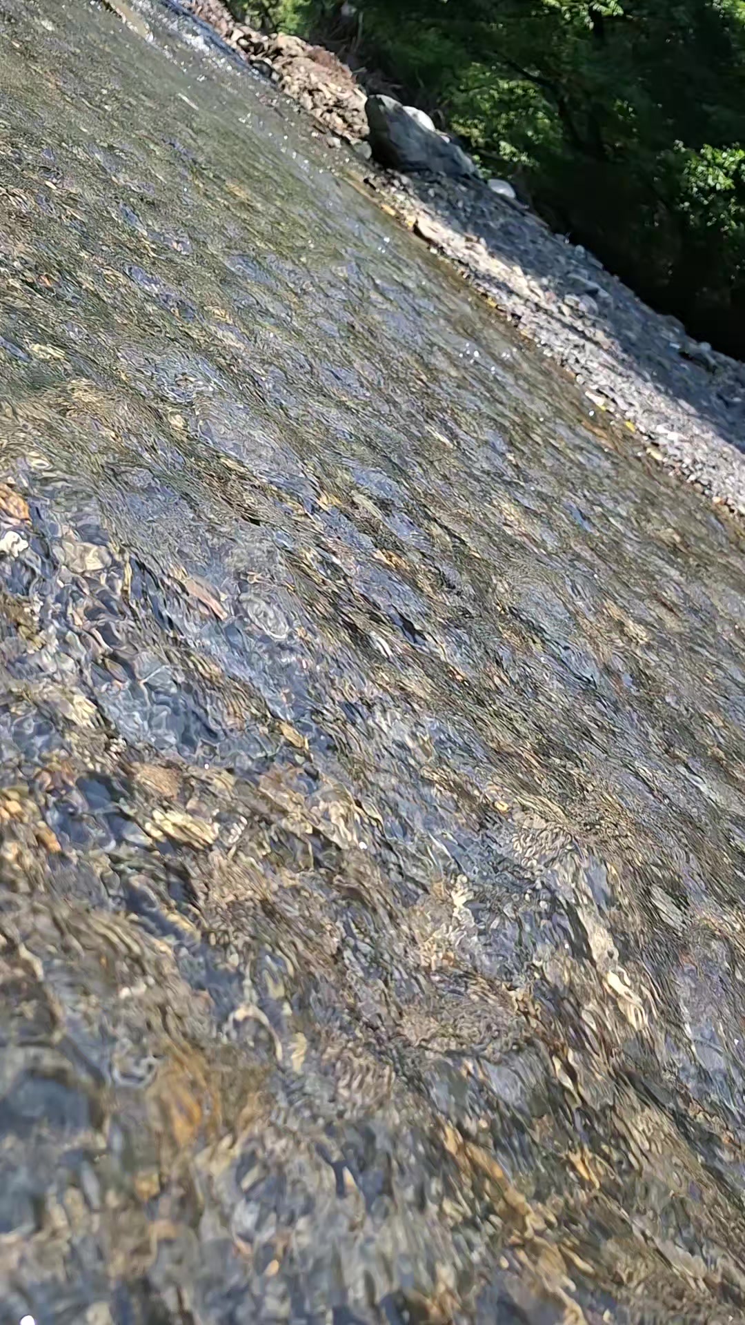 @☘️🌞🌛☘️