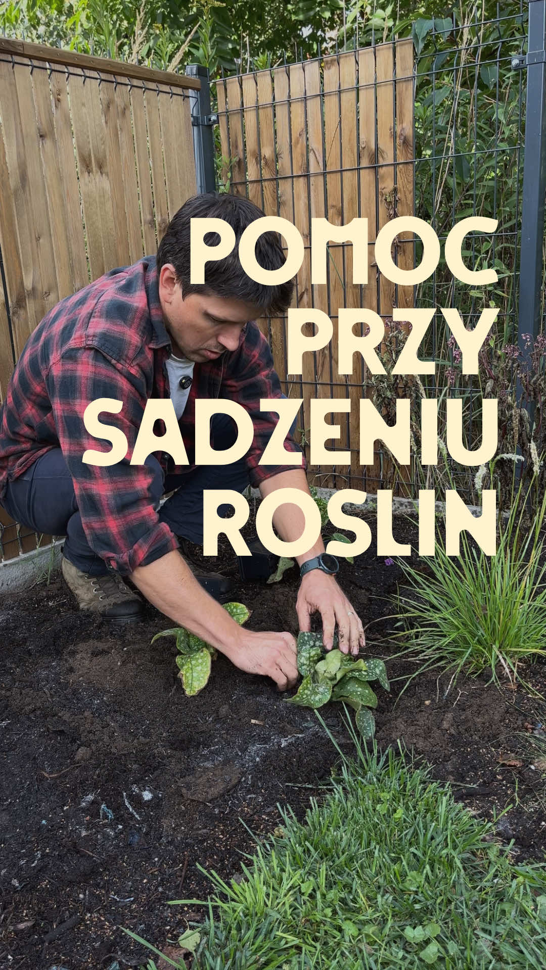 @Ogrodnik Doskonały