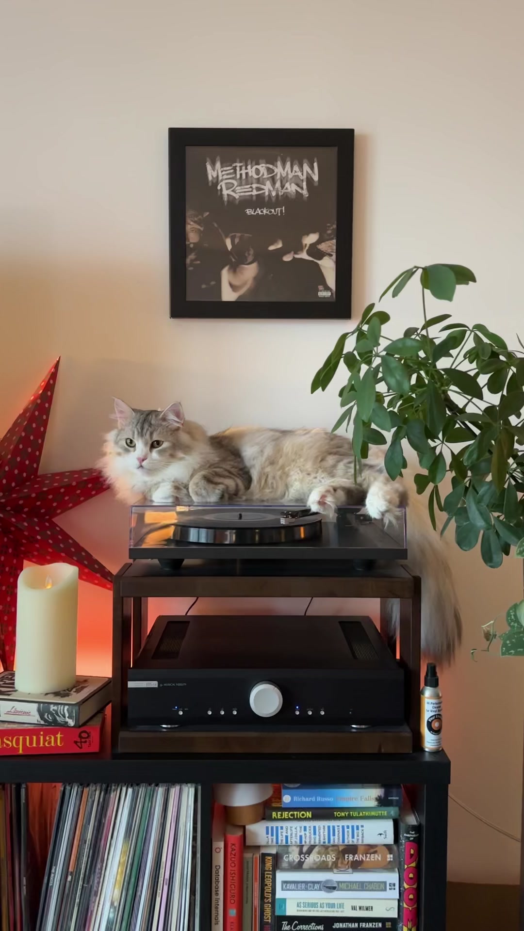 @Leon The Vinyl Cat
