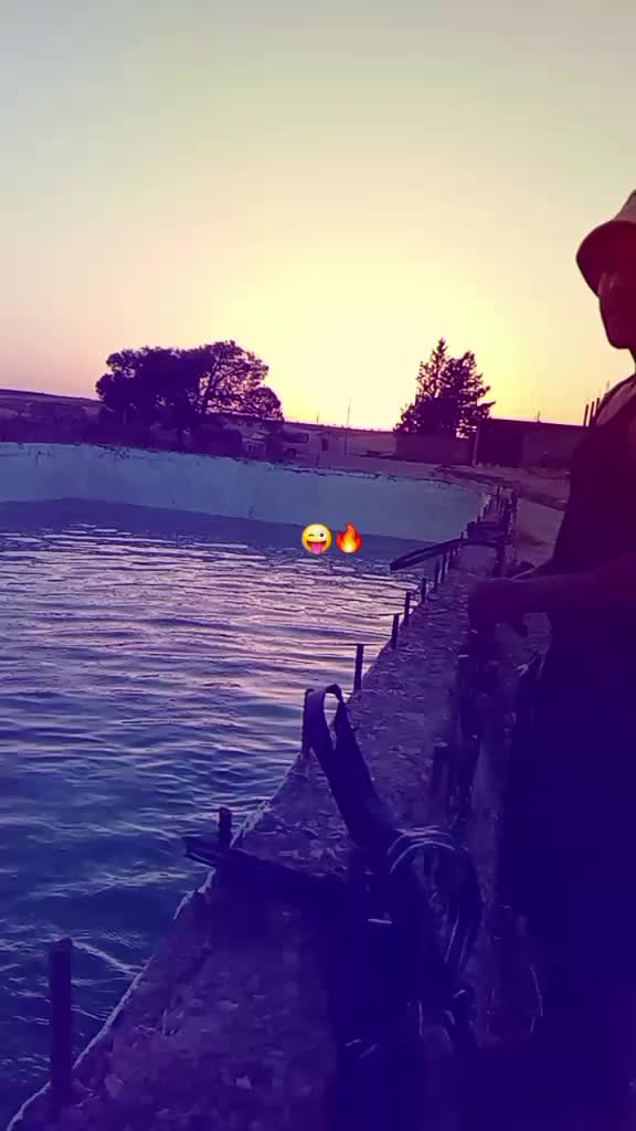 @ẄŁĐ.ŔŐMÏ🪽🤑