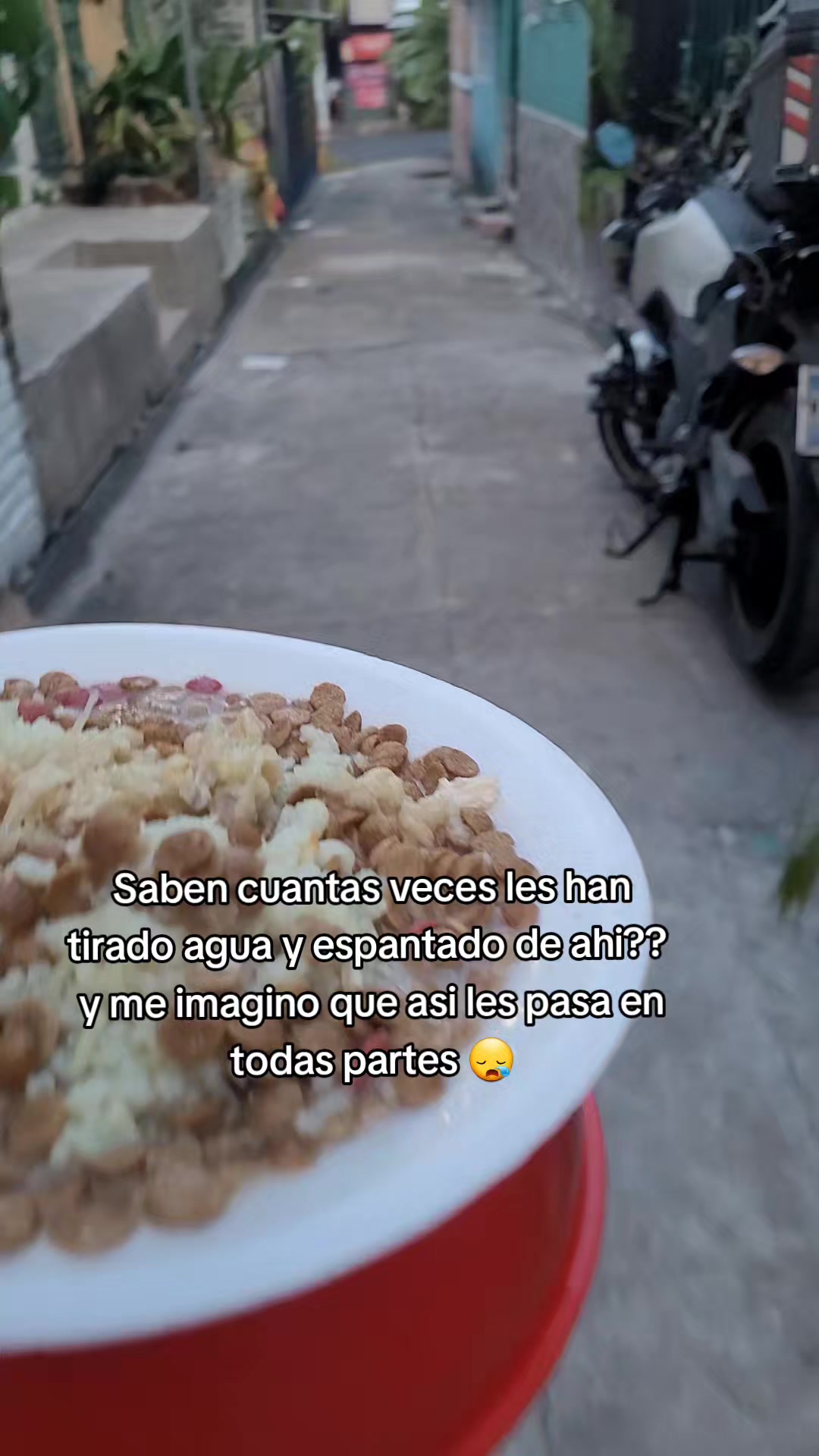 @𝕃𝕚𝕤𝕤 ℝ𝕖yes🇸🇻