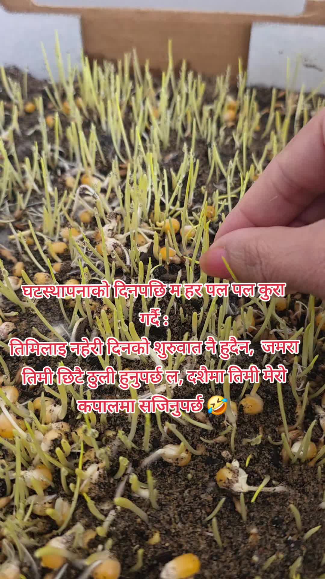 @Samiera_vibes