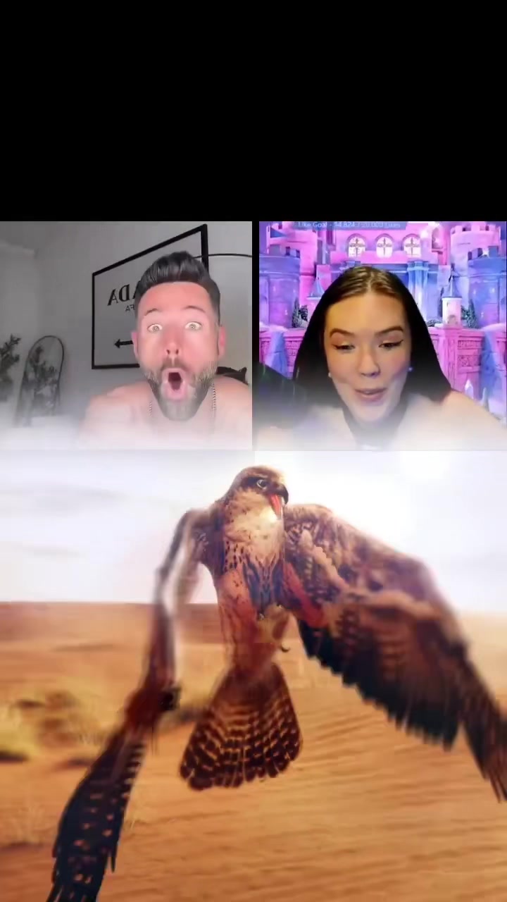 @๐๐๐๐ ๐๐๐๐๐๐