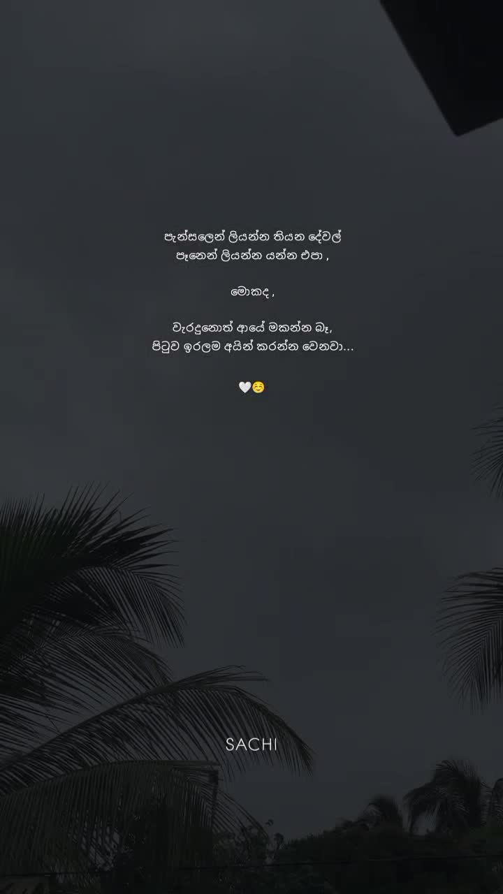 @𝙎𝗮𝗰𝗵𝗶┃සචි 〲 🩸🍃