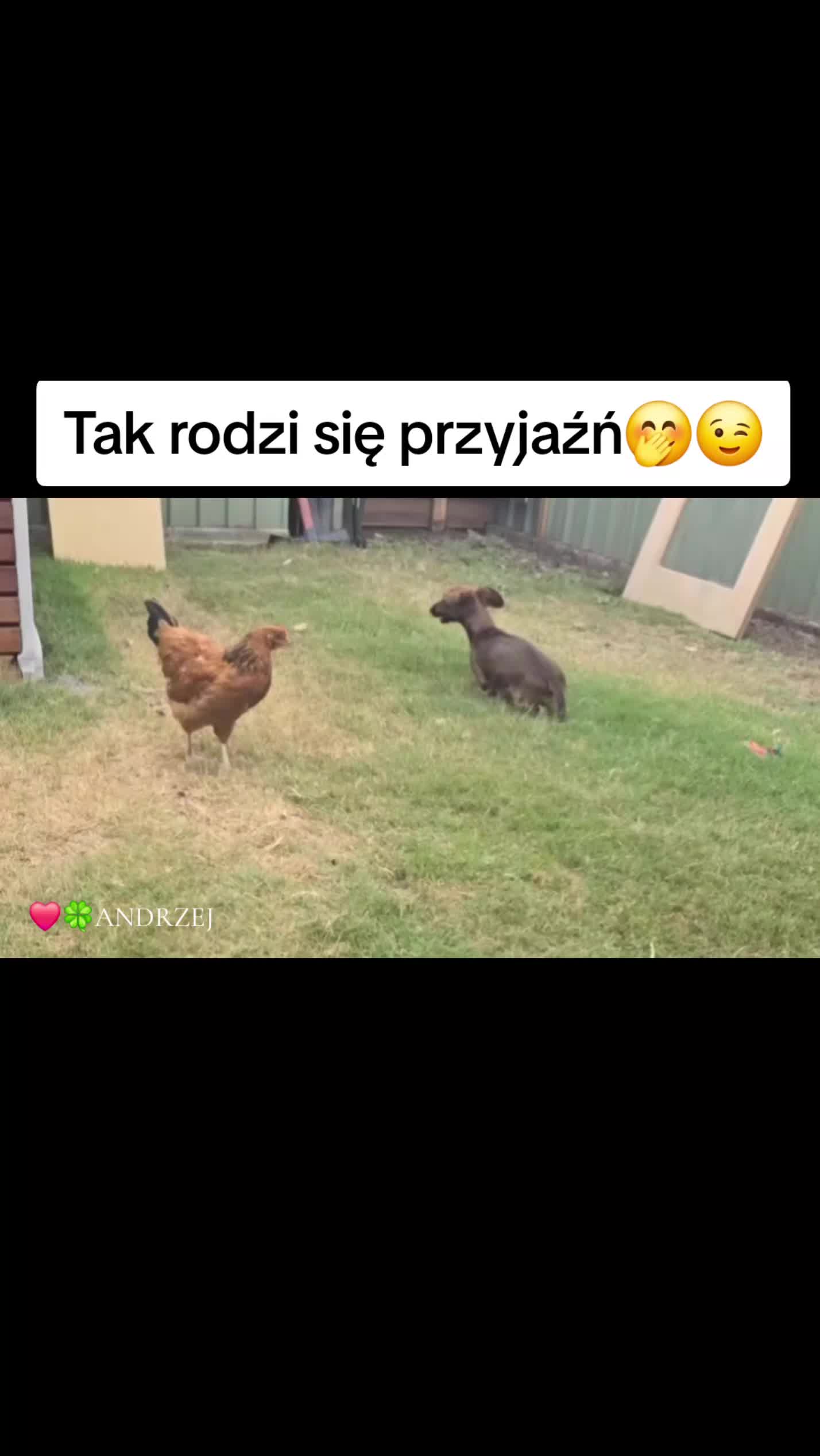 @❤️🍀ANDRZEJ