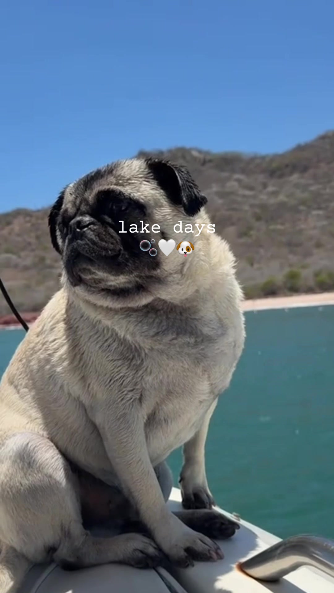 @𝒥𝑜𝒸𝑒𝓁𝓎𝓃