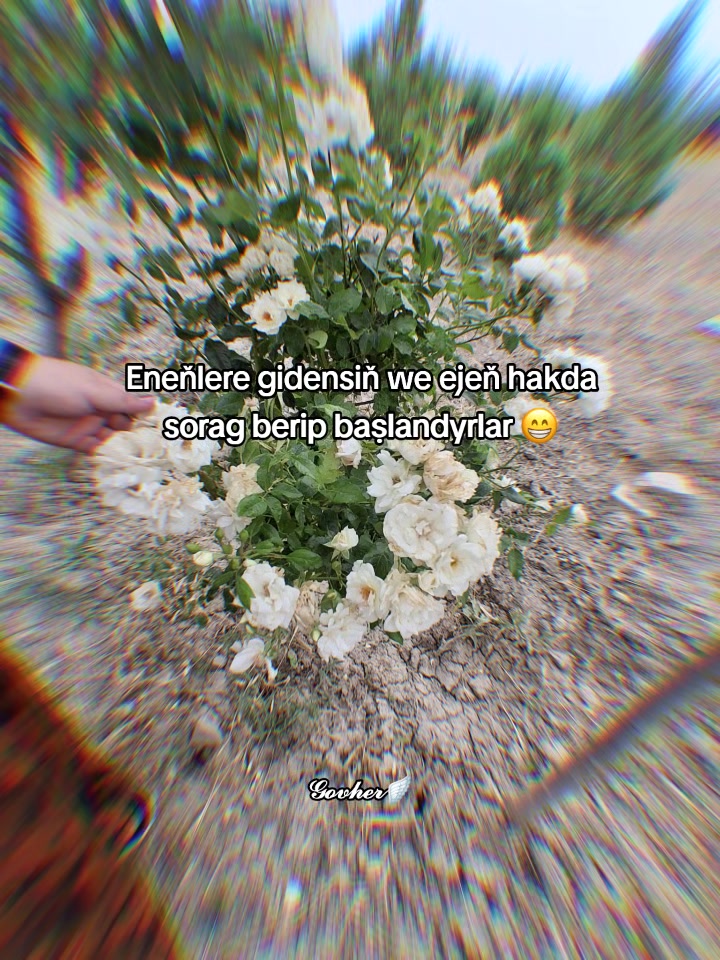 @𝓖𝓸𝓿𝓱𝓮𝓻🪽