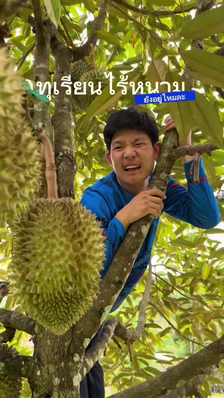 @ตั้นตะลุย (508k)